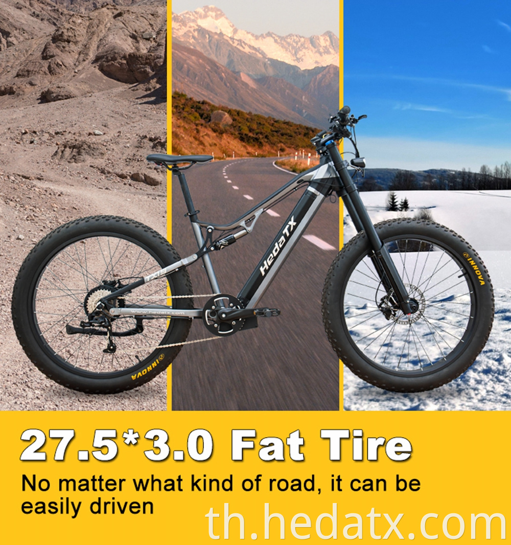 Electric Fat Tire Bike With Battery